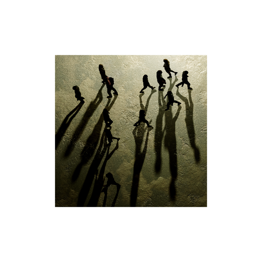 Constellations For The Lonely: Exclusive CD & Signed Print { vinyl }