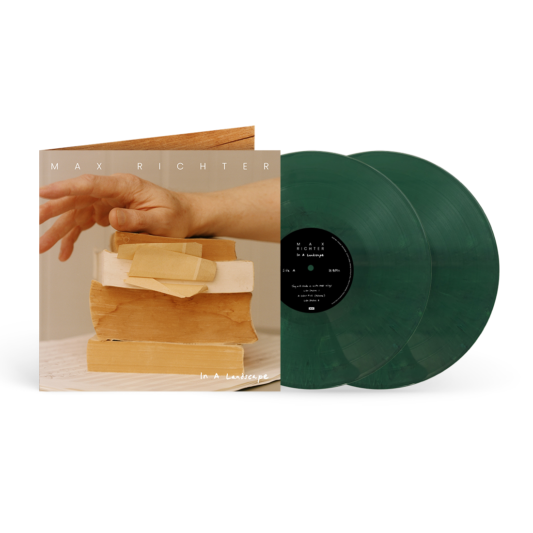 In A Landscape (exclusive) 2LP { vinyl }