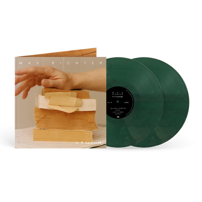 In A Landscape (exclusive) 2LP { vinyl }
