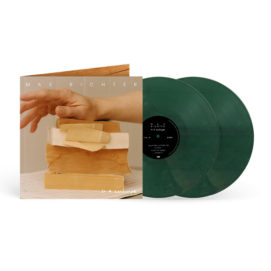 In A Landscape (exclusive) 2LP { vinyl }