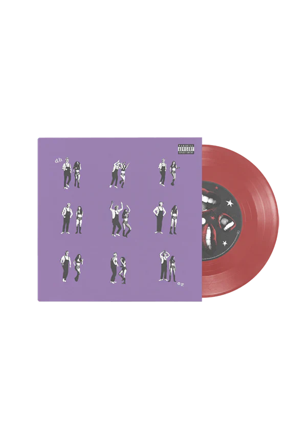 drivers license / burning down the house 7" vinyl { vinyl }