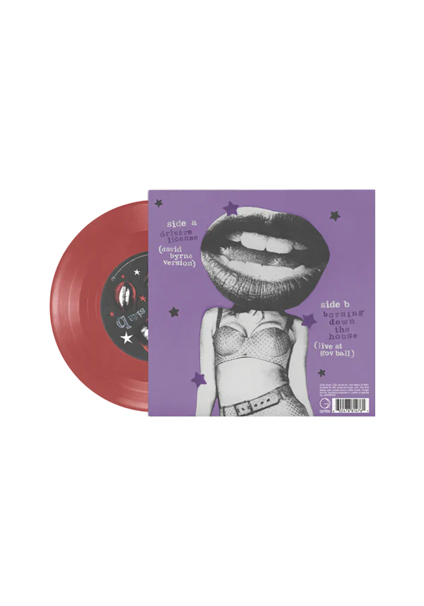 drivers license / burning down the house 7" vinyl { vinyl }