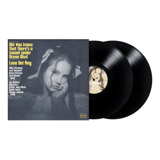 Did you know that there's a tunnel under Ocean Blvd: 2LP { vinyl }