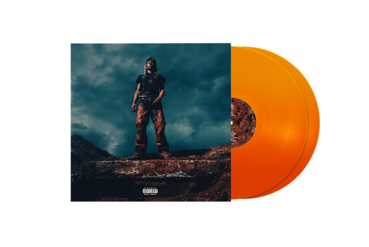 Love Lasts Forever Translucent Pumpkin Spice Vinyl { vinyl }