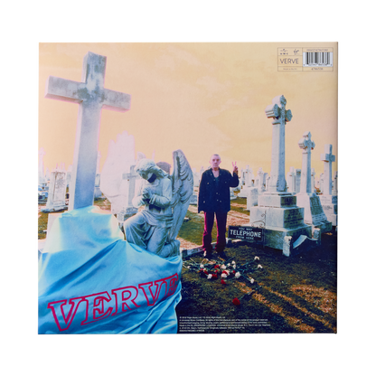 A Storm In Heaven: Vinyl LP { vinyl }