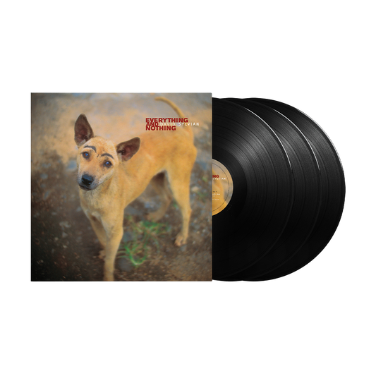 Everything And Nothing: Vinyl 3LP { vinyl }