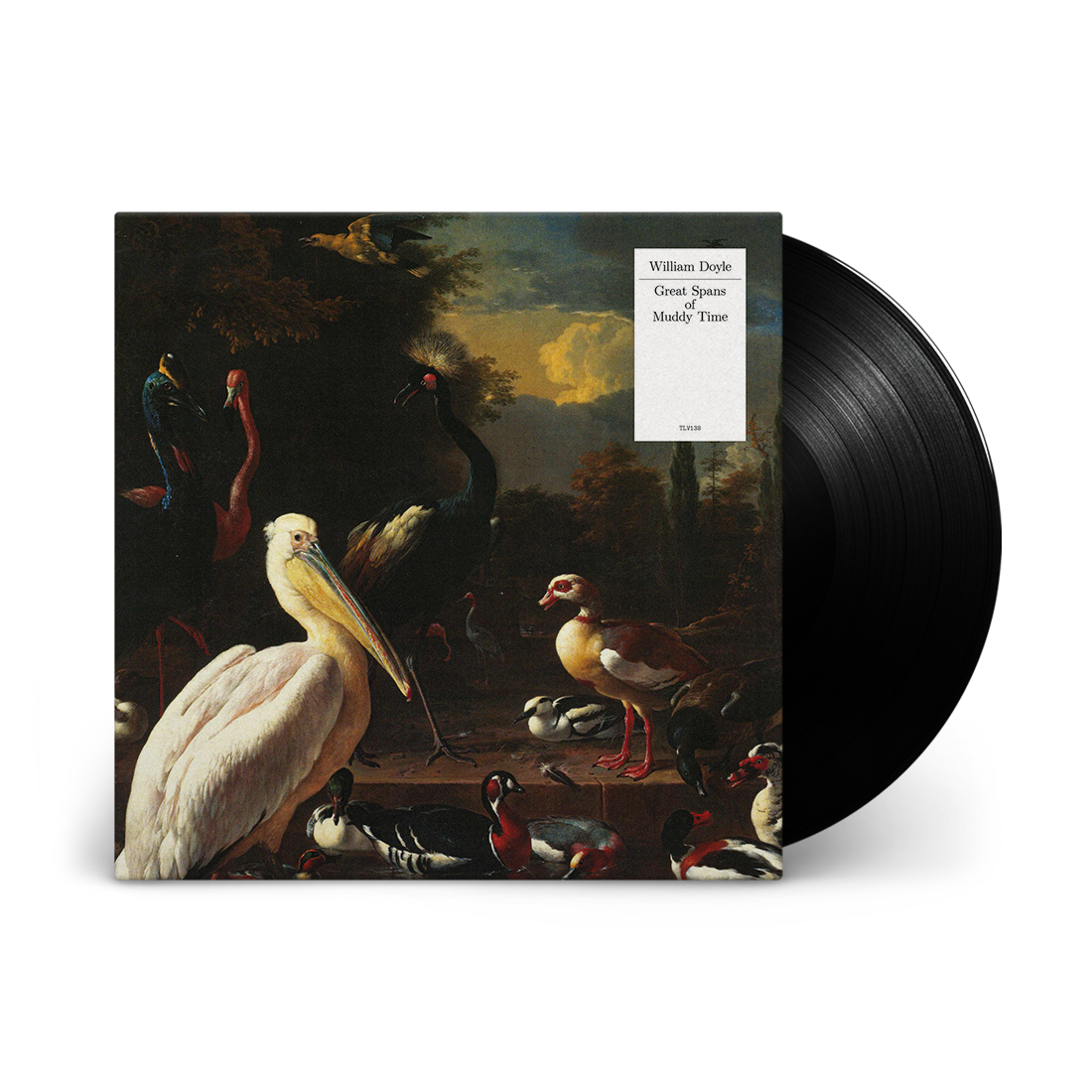 Great Spans of Muddy Time: Vinyl LP { vinyl }