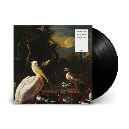 Great Spans of Muddy Time: Vinyl LP { vinyl }