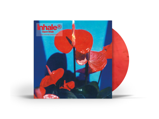 Open Wide Store Exclusive Vinyl { vinyl }