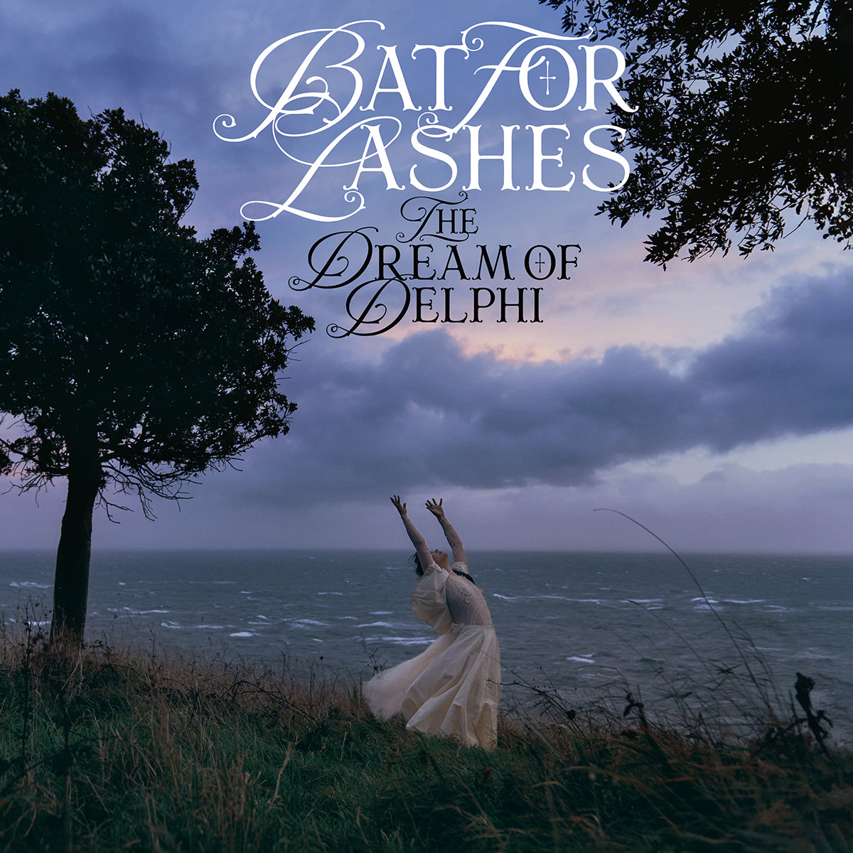 The Dream of Delphi: Vinyl & Signed Art Card { vinyl }