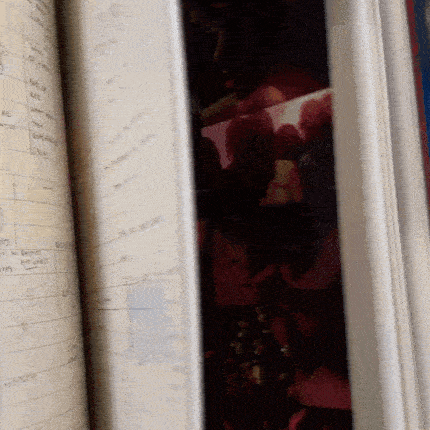 What Happened To The Heart? Book { vinyl }