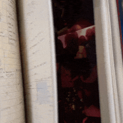 What Happened To The Heart? Book { vinyl }