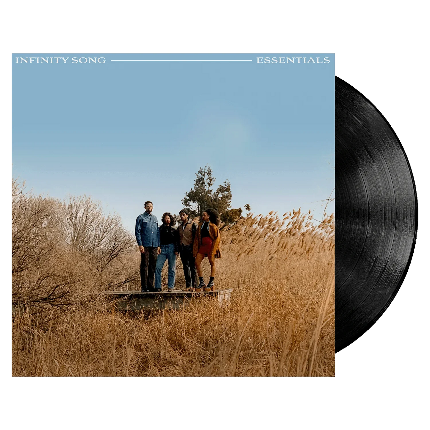 Infinity Songs Essentials LP { vinyl }