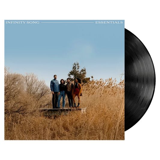 Infinity Songs Essentials LP { vinyl }