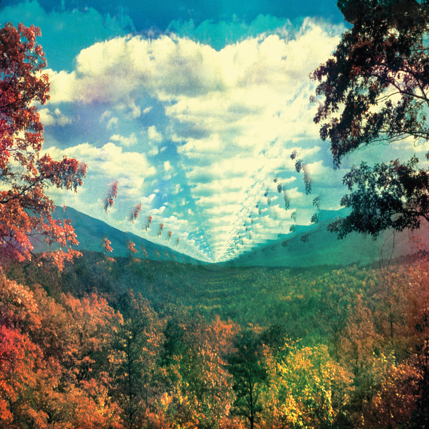InnerSpeaker: Vinyl 2LP