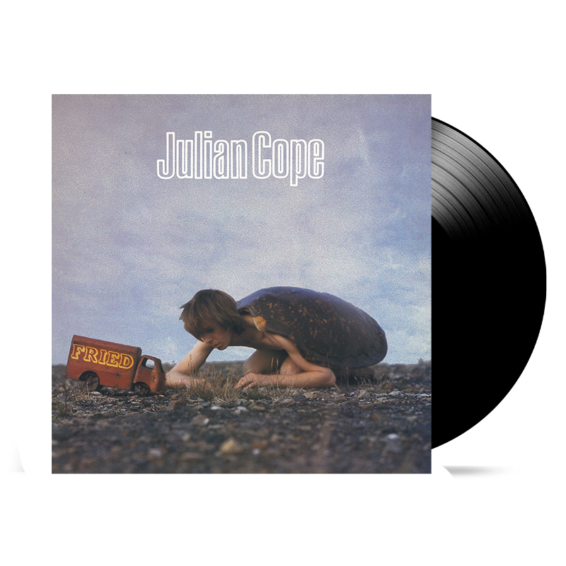 Fried: Vinyl LP { vinyl }