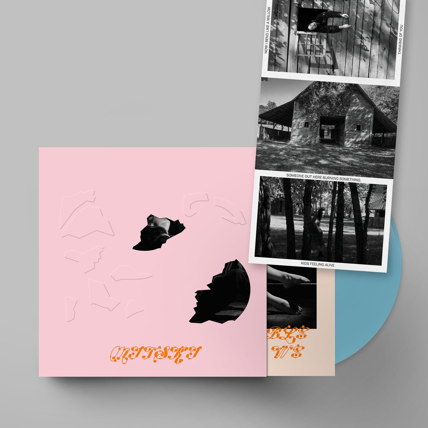 The Land is Inhospitable and So Are We: Limited Robin Egg Blue Vinyl LP w/ Pink Die-Cut Slipcase & Postcard Set { vinyl }