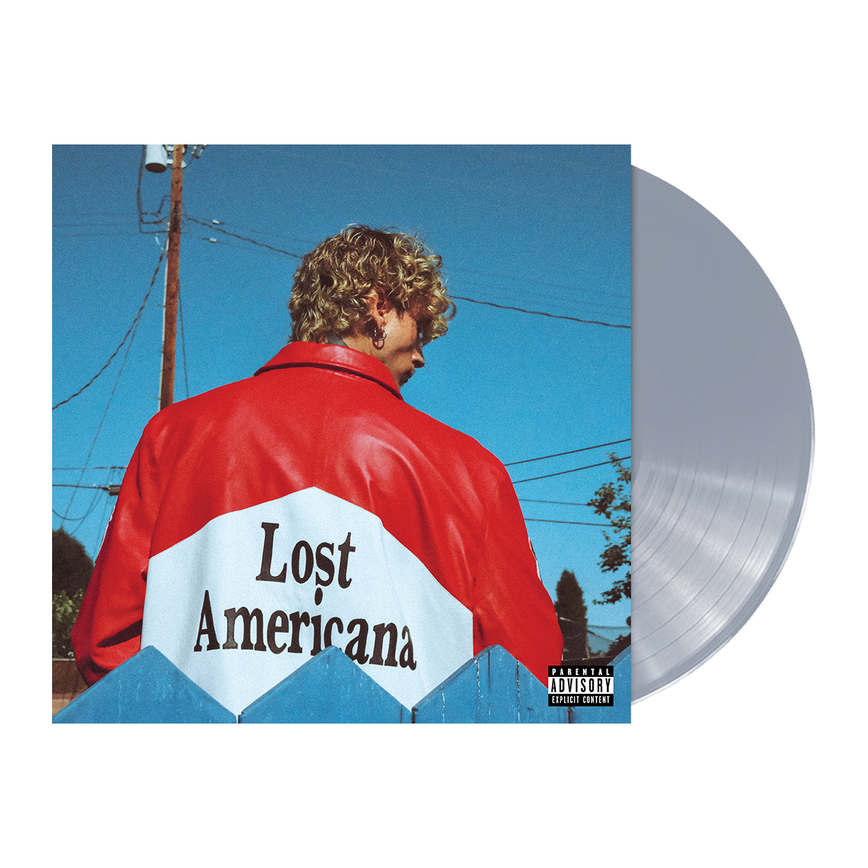 Lost Americana – Platinum Metallic Vinyl { vinyl }