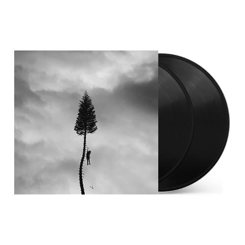 Manchester Orchestra - A Black Mile To The Surface [2LP] { vinyl }