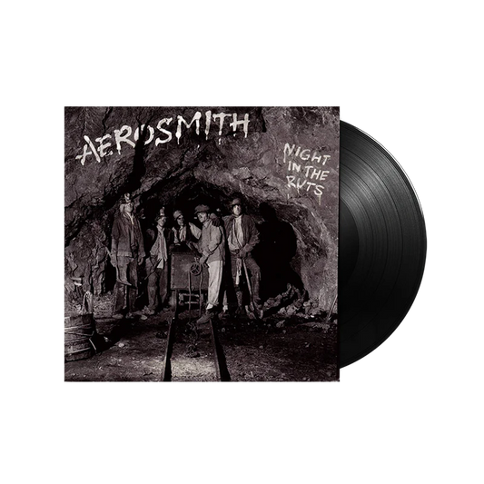Night In the Ruts (LP) { vinyl }