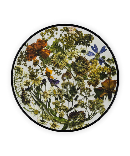 Prelude To Ecstasy: Picture Disc { vinyl }