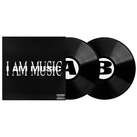 MUSIC: Vinyl 2LP { vinyl }