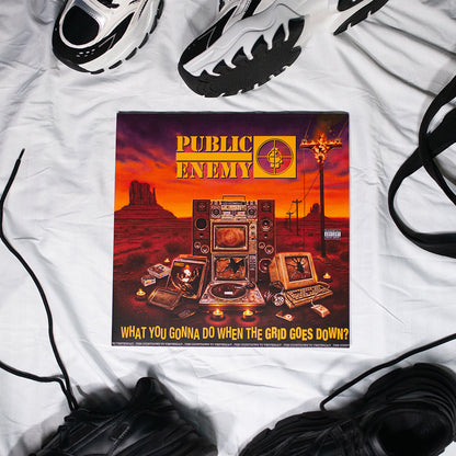 What You Gonna Do When The Grid Goes Down? Vinyl LP