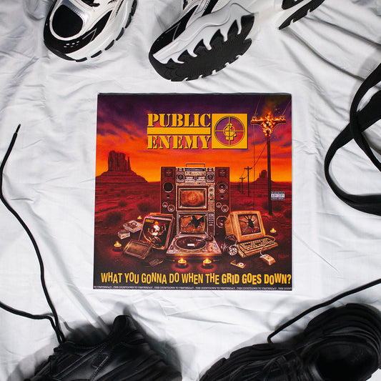 What You Gonna Do When The Grid Goes Down? Vinyl LP