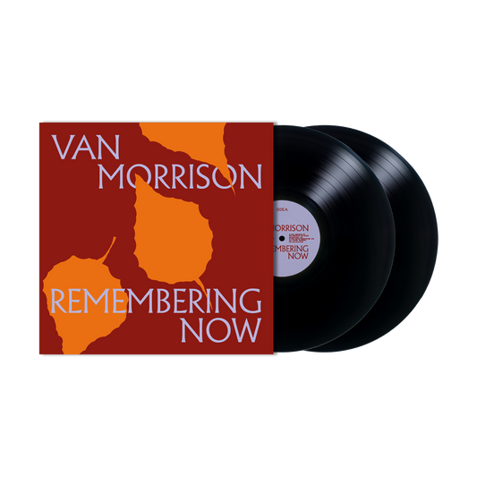 Remembering Now: Vinyl 2LP { vinyl }