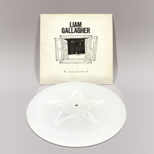 All You're Dreaming Of: Limited White Vinyl 12" Single { vinyl }