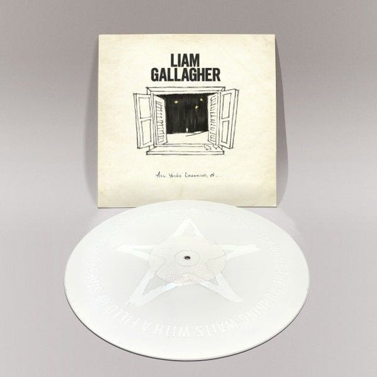 All You're Dreaming Of: Limited White Vinyl 12" Single { vinyl }