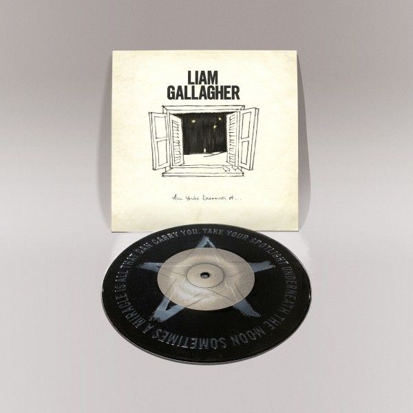 All You're Dreaming Of: Limited Vinyl 7" Single { vinyl }