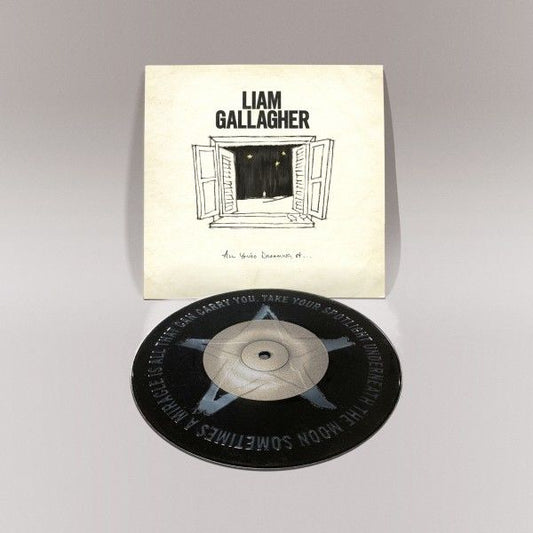 All You're Dreaming Of: Limited Vinyl 7" Single { vinyl }