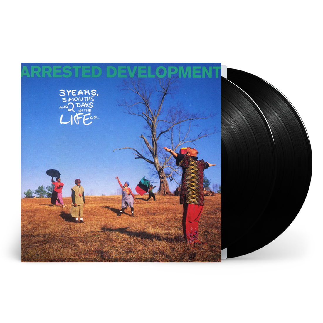 3 Years 5 Months 2 Days In The Life Of... Vinyl 2LP { vinyl }