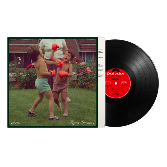 Flying Dream 1: Vinyl LP { vinyl }