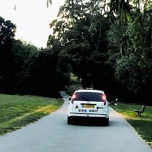 Turn Right And Right Again: Signed Exclusive Signed Vinyl LP { vinyl }