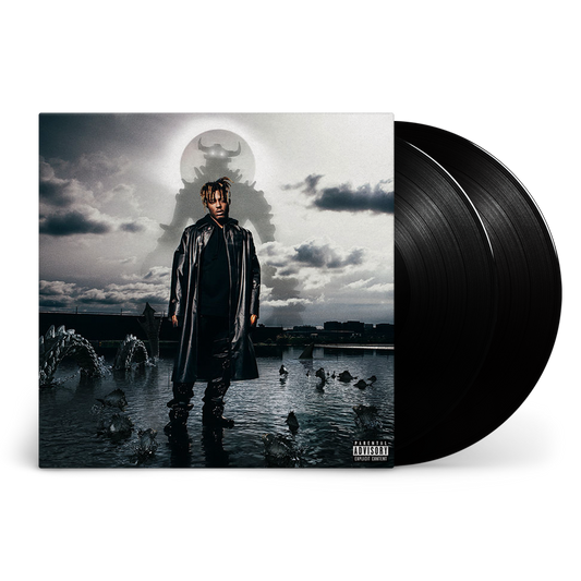 Fighting Demons: Vinyl 2LP { vinyl }