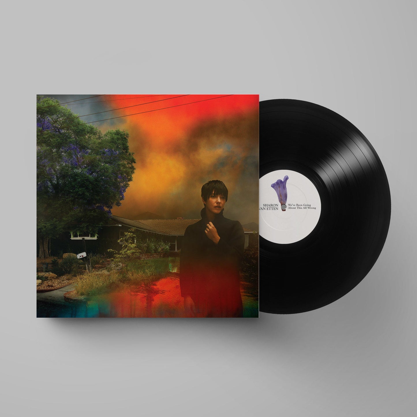 We've Been Going About This All Wrong: Vinyl LP { vinyl }