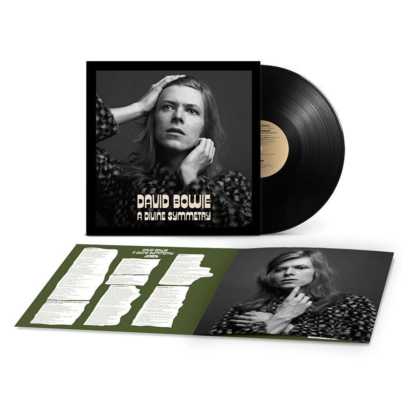 Divine Symmetry - An Alternative Journey Through Hunky Dory: Vinyl LP { vinyl }
