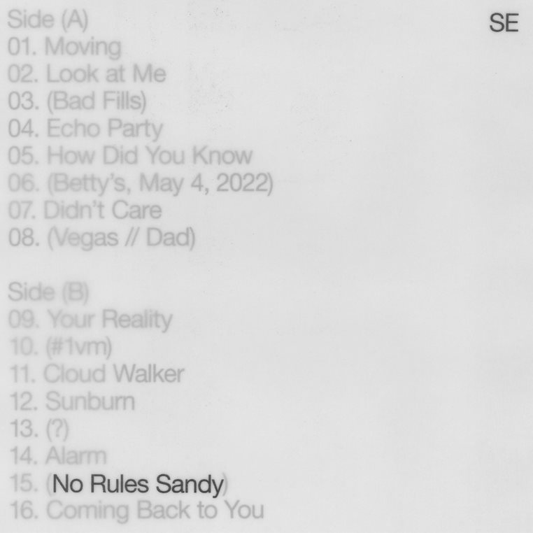 No Rules Sandy: Signed Print { vinyl }