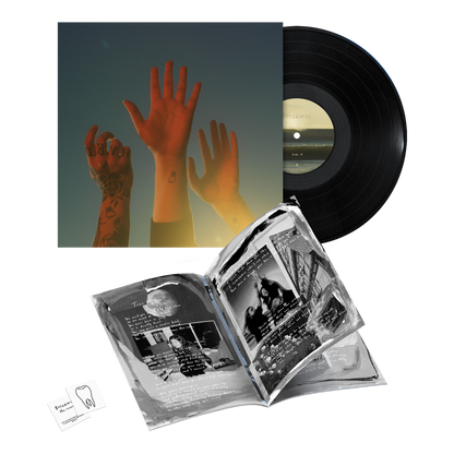 the record vinyl lp [black vinyl] { vinyl }