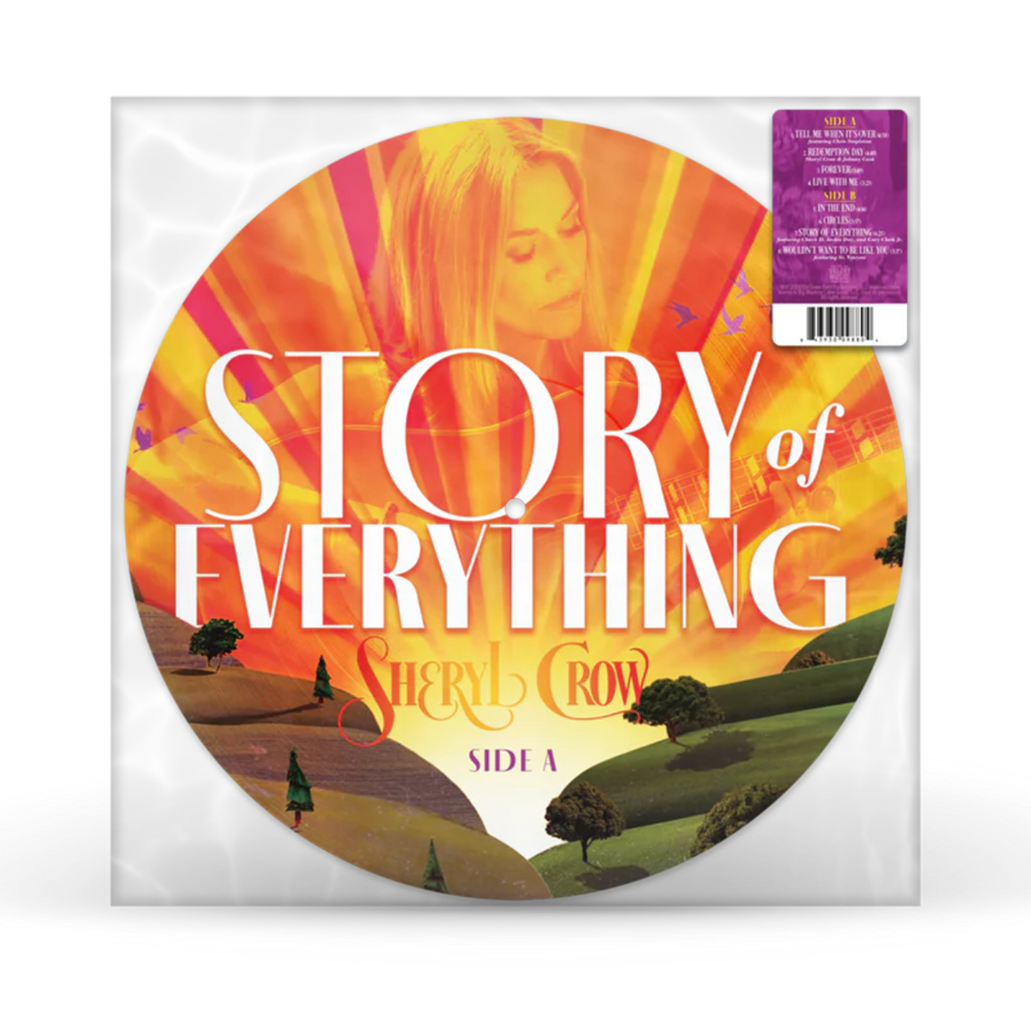 Story Of Everything Vinyl