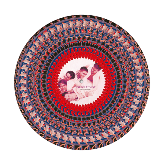 Everything Changes Anniversary Limited Edition Zoetrope Vinyl [NAD24] { vinyl }