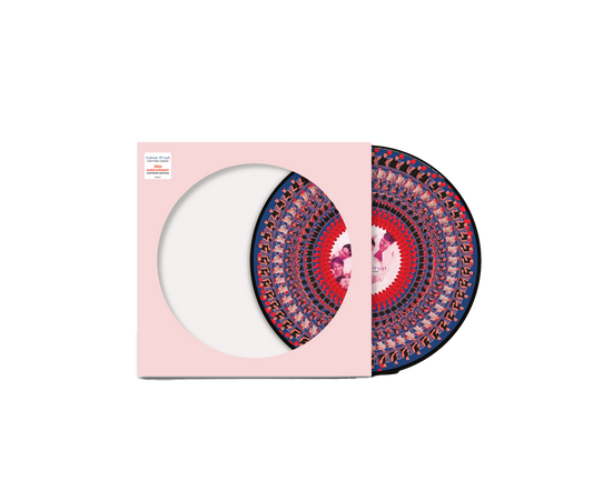 Everything Changes Anniversary Limited Edition Zoetrope Vinyl [NAD24] { vinyl }