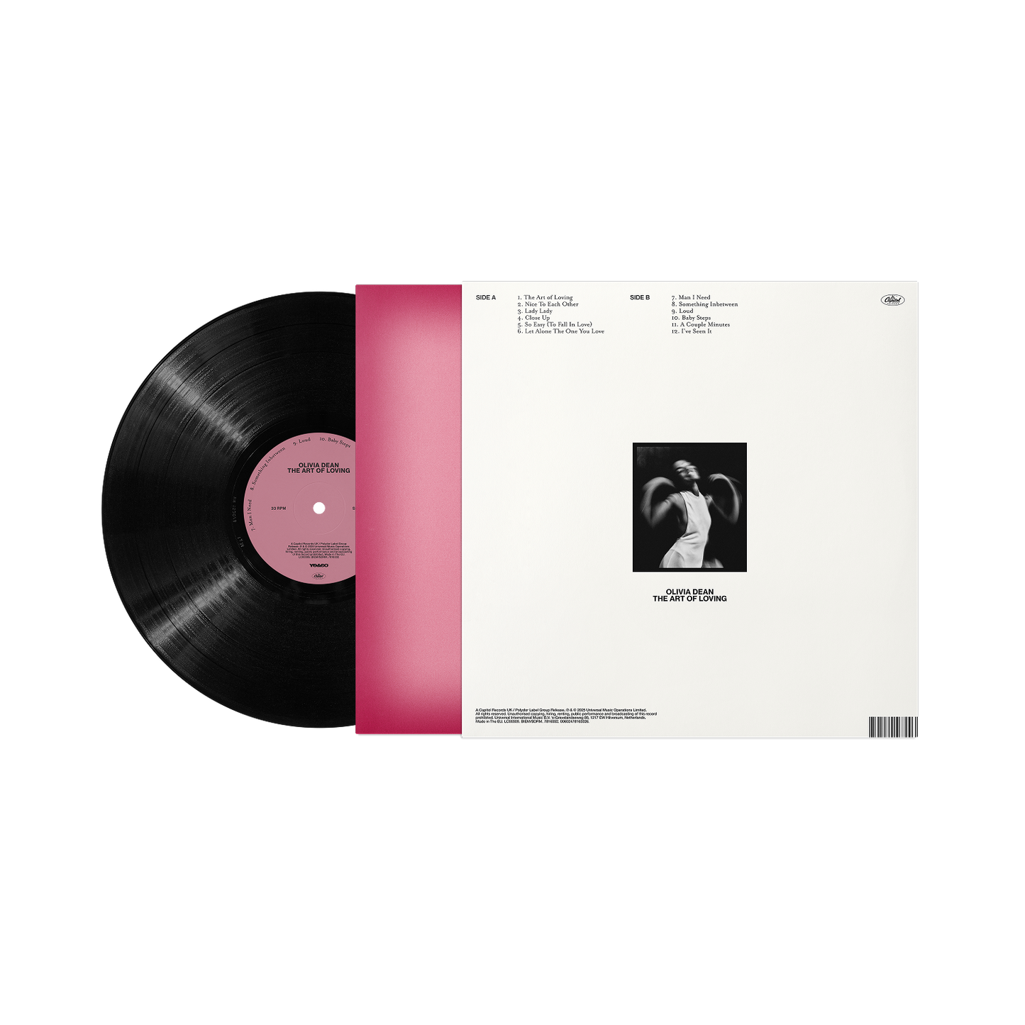 The Art of Loving Vinyl