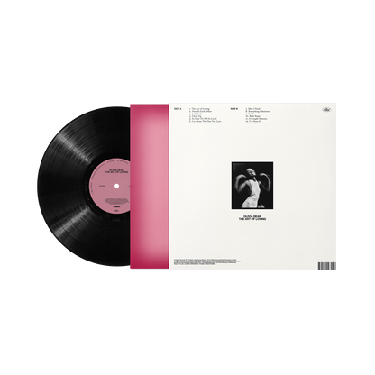 The Art of Loving Vinyl