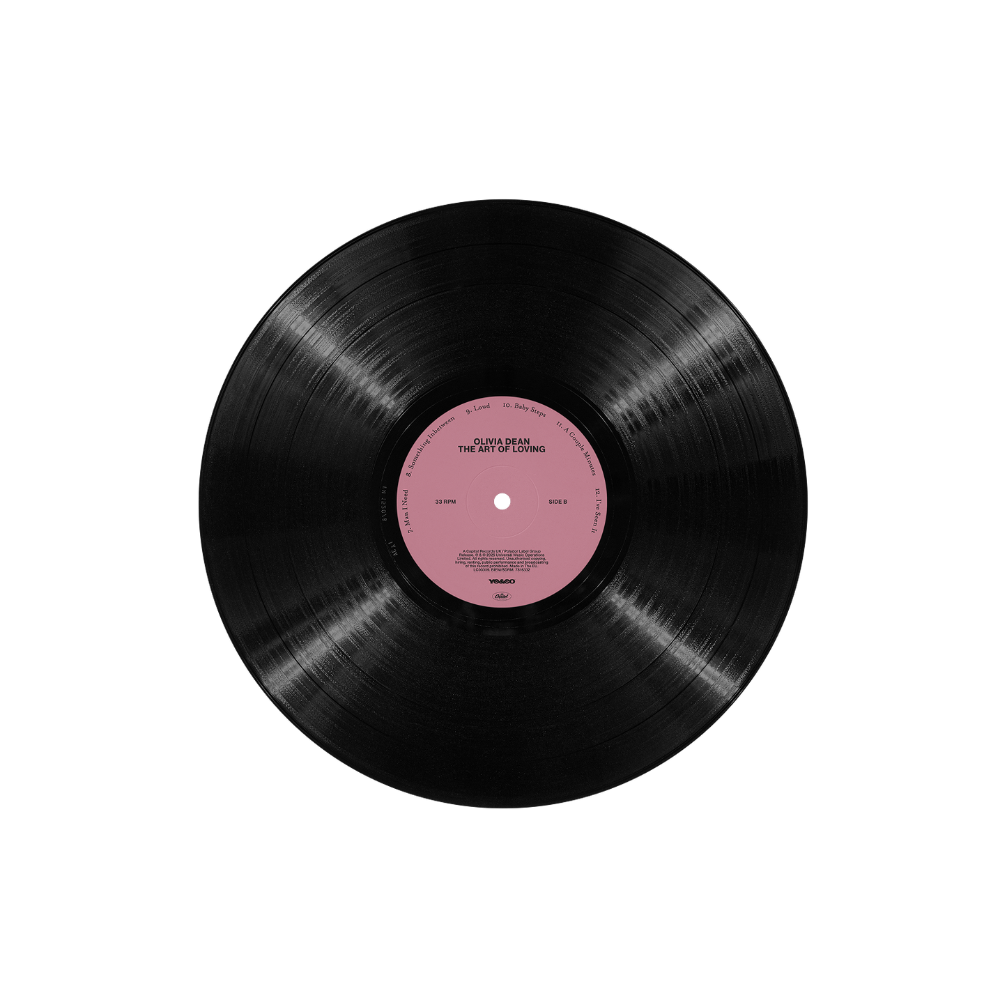 The Art of Loving Vinyl