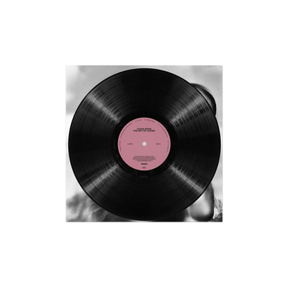 The Art of Loving Vinyl