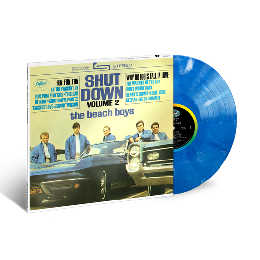 Shut Down Vol. 2: Exclusive Blue & White Marble Vinyl LP { vinyl }