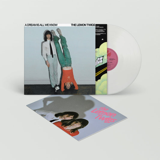 A Dream Is All We Know: Limited 'Ice Cream' Vinyl LP { vinyl }